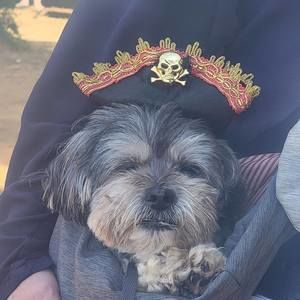 Meet your Posher, Jen